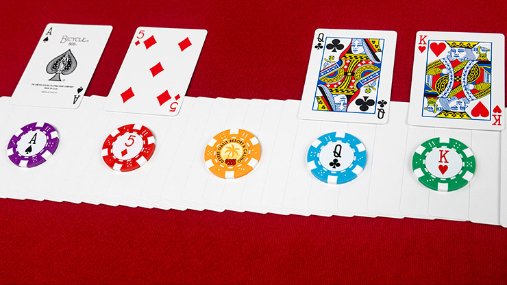 Bets in Show - John Guastaferro – Image 4
