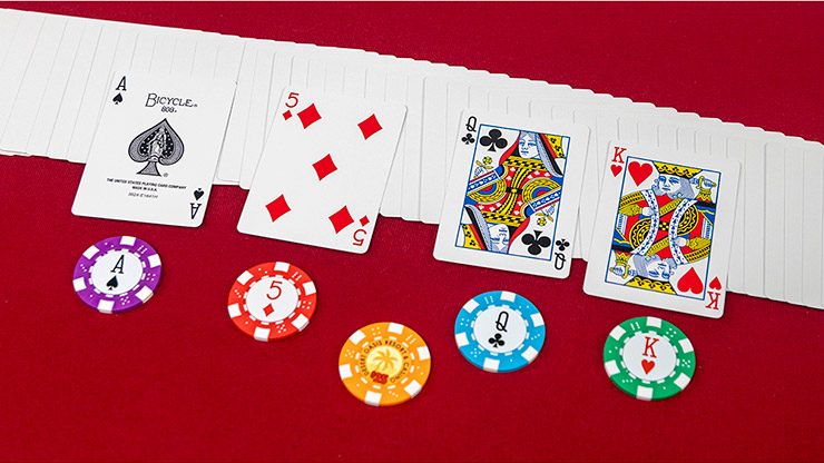 Bets in Show - John Guastaferro – Image 5
