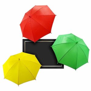 Parasol Picture Frame - Tora Magic