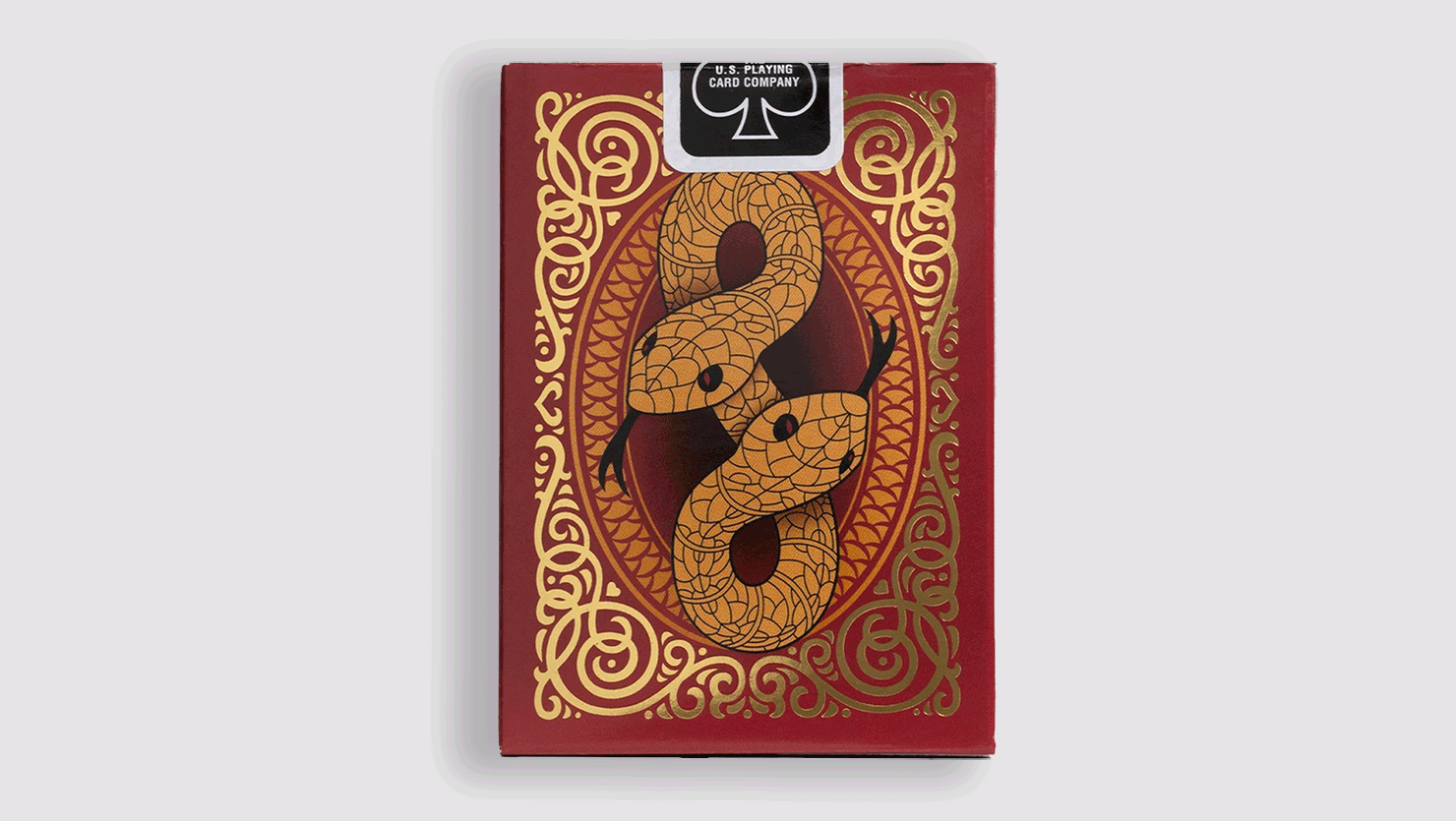 Bicycle Snake – Image 3