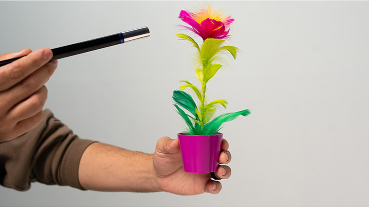 Miracle Wand to Flower - Murphy's Magic – Image 4